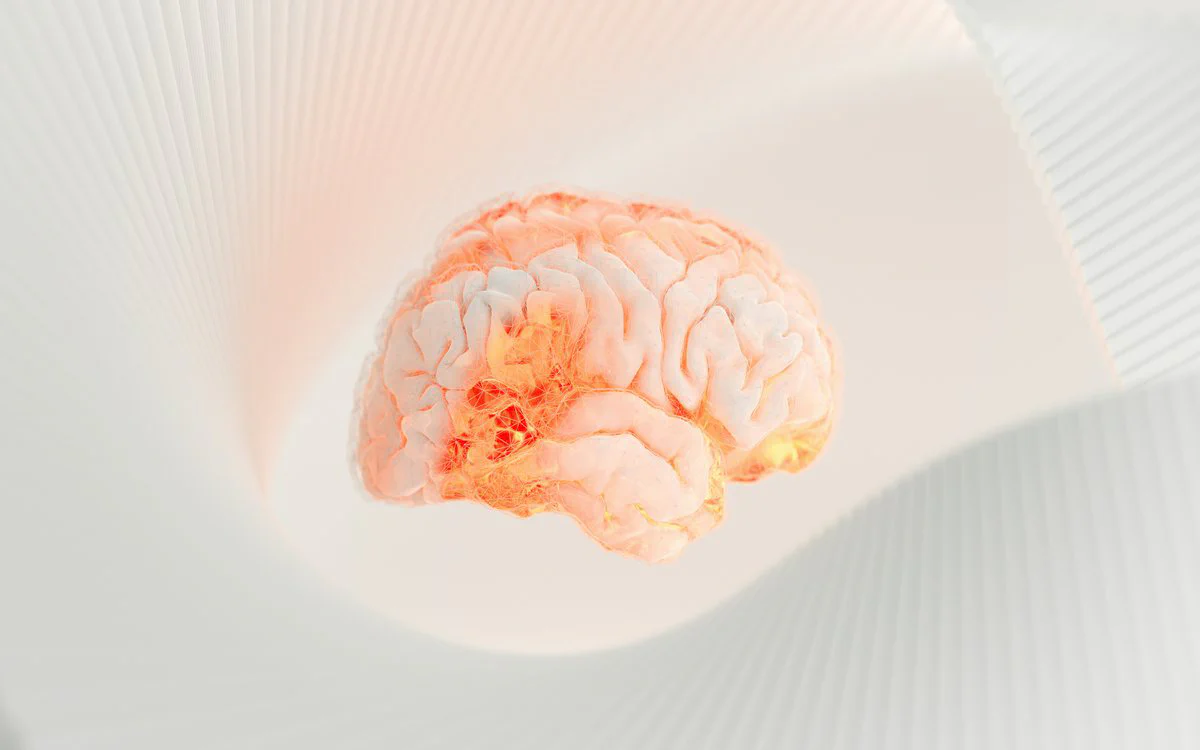 Brain activity during meditation showing enhanced alpha waves