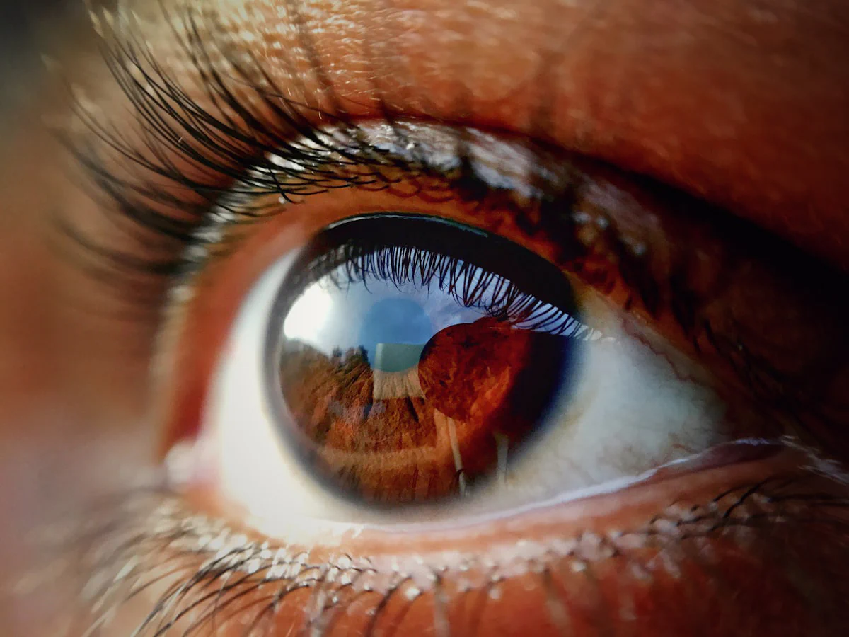 Ayurvedic eye care links to Tratak Ayurvedic eye health diagram